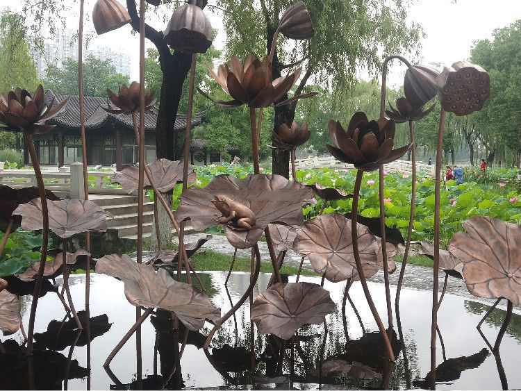 水池中铜荷花