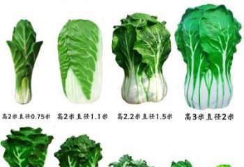 玻璃钢制作白菜雕塑