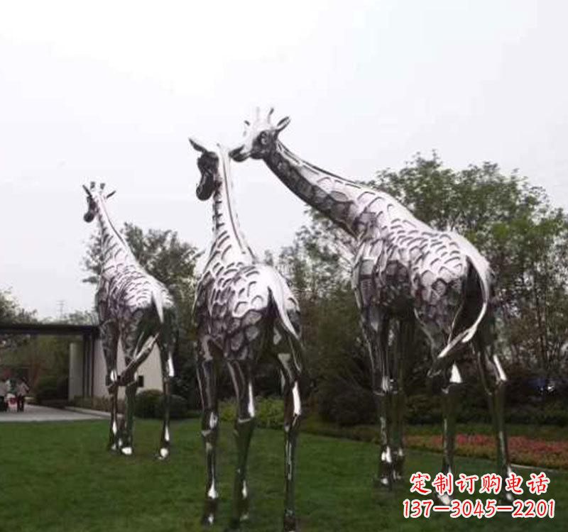 长颈鹿雕塑 - 不锈钢/大型/长颈鹿 长颈鹿雕塑 - 不锈钢/大型/长颈鹿
