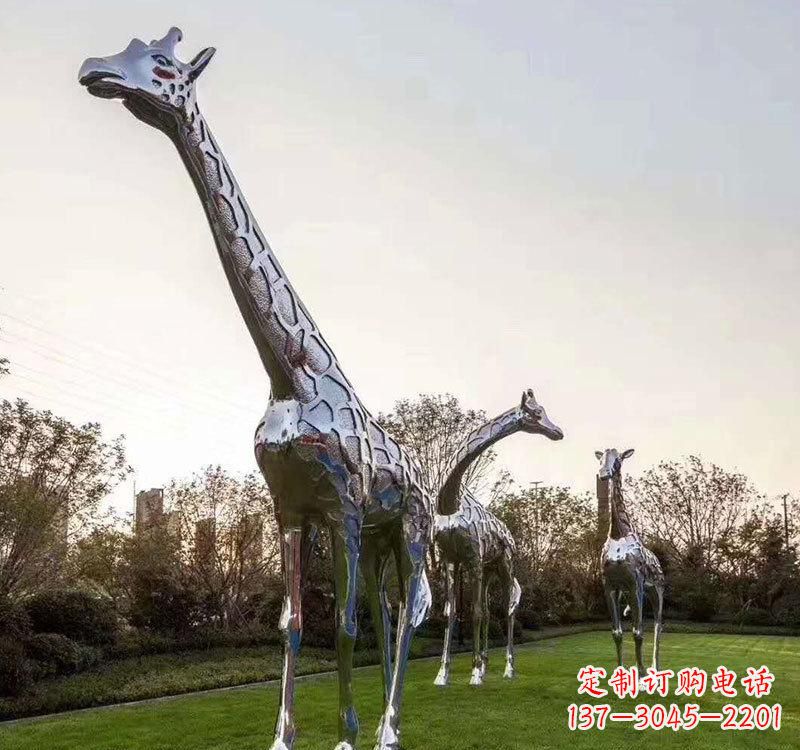 长颈鹿雕塑 - 不锈钢/广场/长颈鹿 长颈鹿雕塑 - 不锈钢/广场/长颈鹿