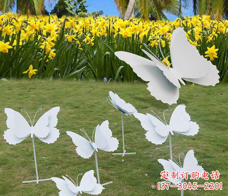 镜面雕塑 - 不锈钢/镜面/蝴蝶 镜面雕塑 - 不锈钢/镜面/蝴蝶