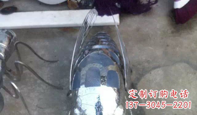 不锈钢昆虫雕塑 (2)