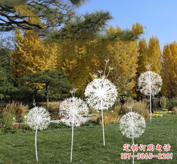 蒲公英雕塑 - 不锈钢/蒲公英/景观 蒲公英雕塑 - 不锈钢/蒲公英/景观