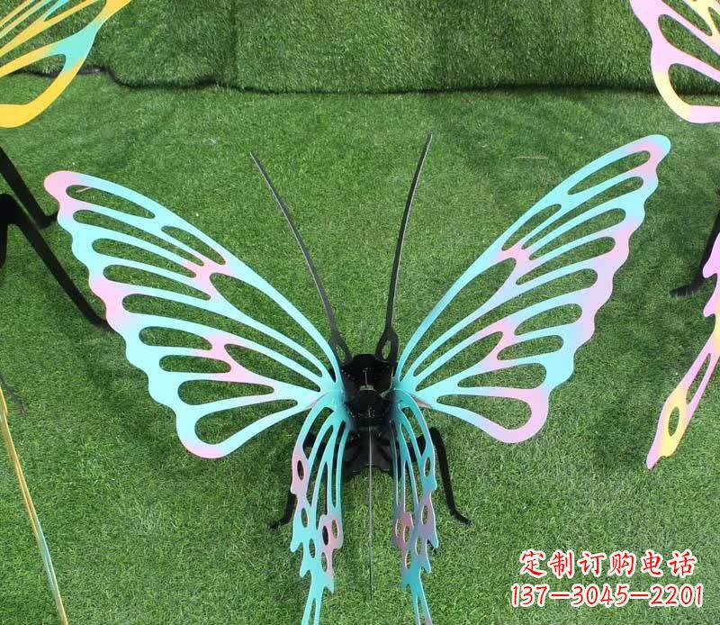 彩色/不锈钢/镂空/蝴蝶-彩色不锈钢镂空蝴蝶雕塑 彩色/不锈钢/镂空/蝴蝶-彩色不锈钢镂空蝴蝶雕塑
