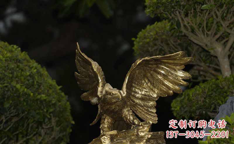 大鹏展翅老鹰铜雕 (3)