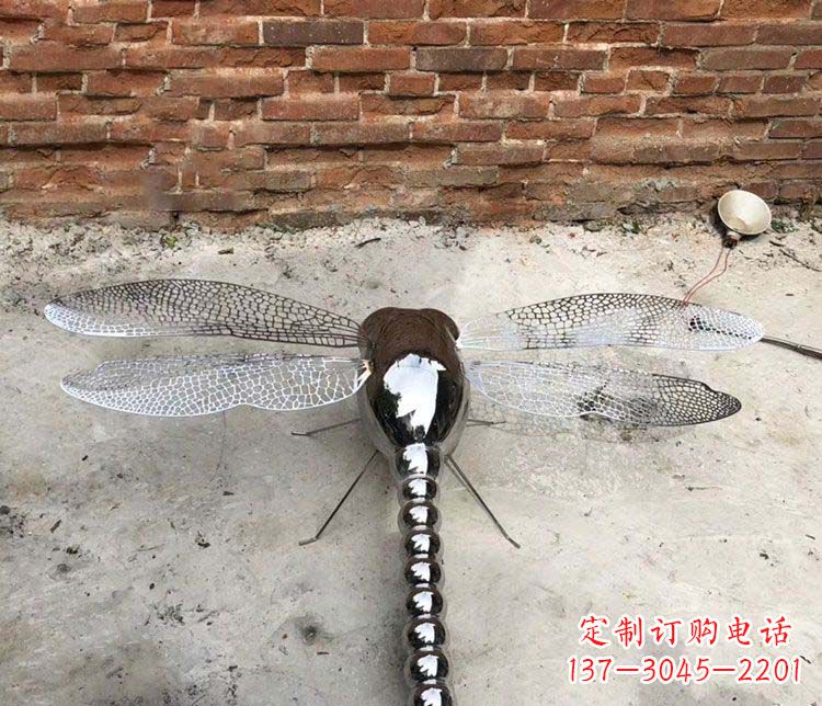 仿真镜面蜻蜓不-锈-钢-雕-塑-