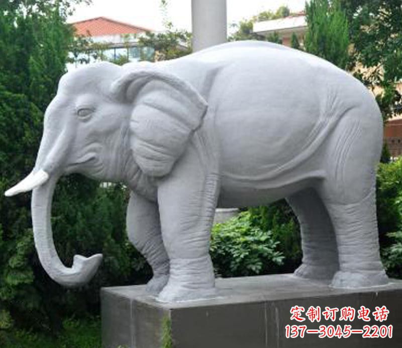 公园动物大理石大象石雕 (5)