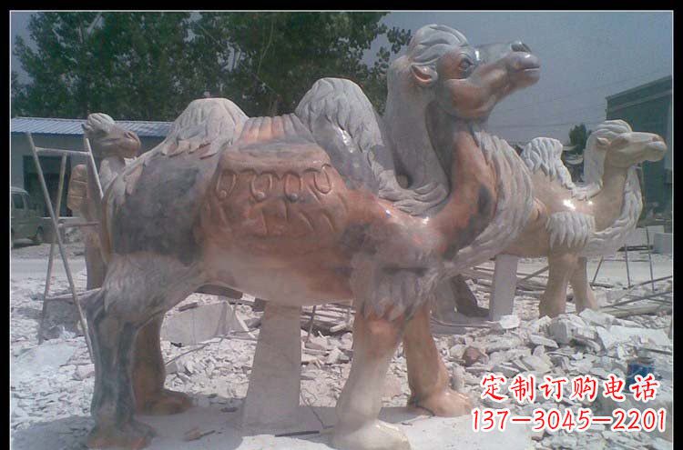 公园动物骆驼石雕222