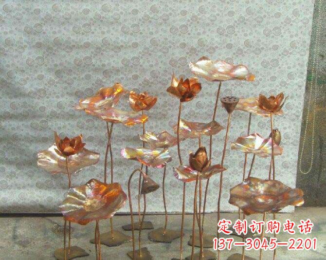 荷花风情铜雕 荷花风情铜雕