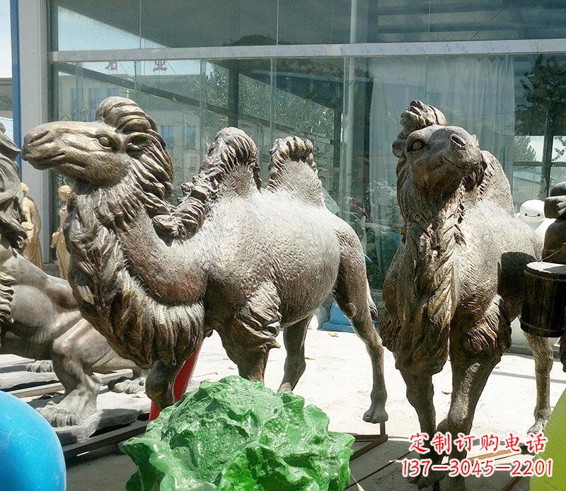 公园骆驼动物铜雕 (2)