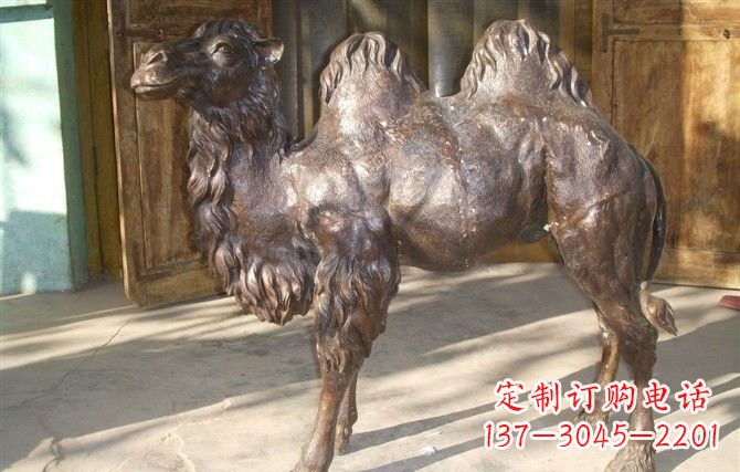 公园骆驼铜雕222