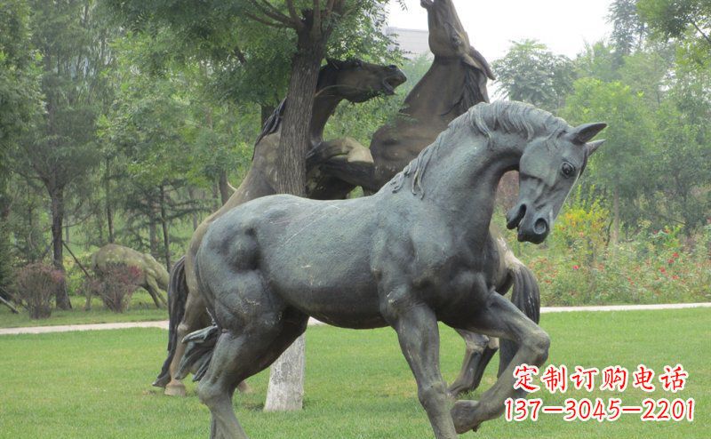公园马动物景观铜雕 (2)
