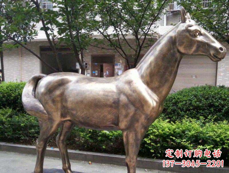 公园马动物铜雕 (3)