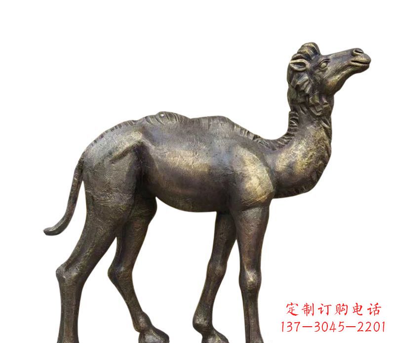 公园小骆驼铜雕