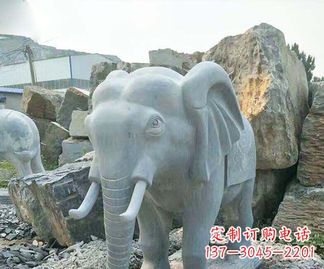广场景观大理石大象石雕 (2)