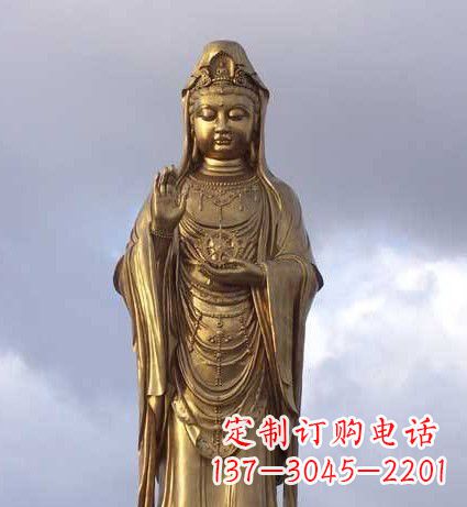 蛤蜊观音