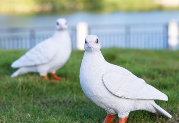 广场和平鸽雕塑