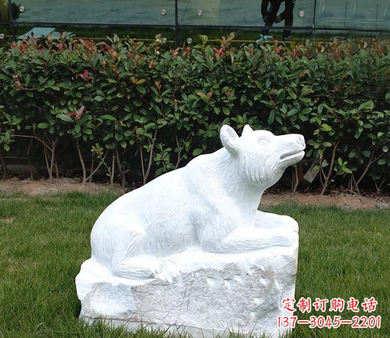 汉白玉小区动物熊