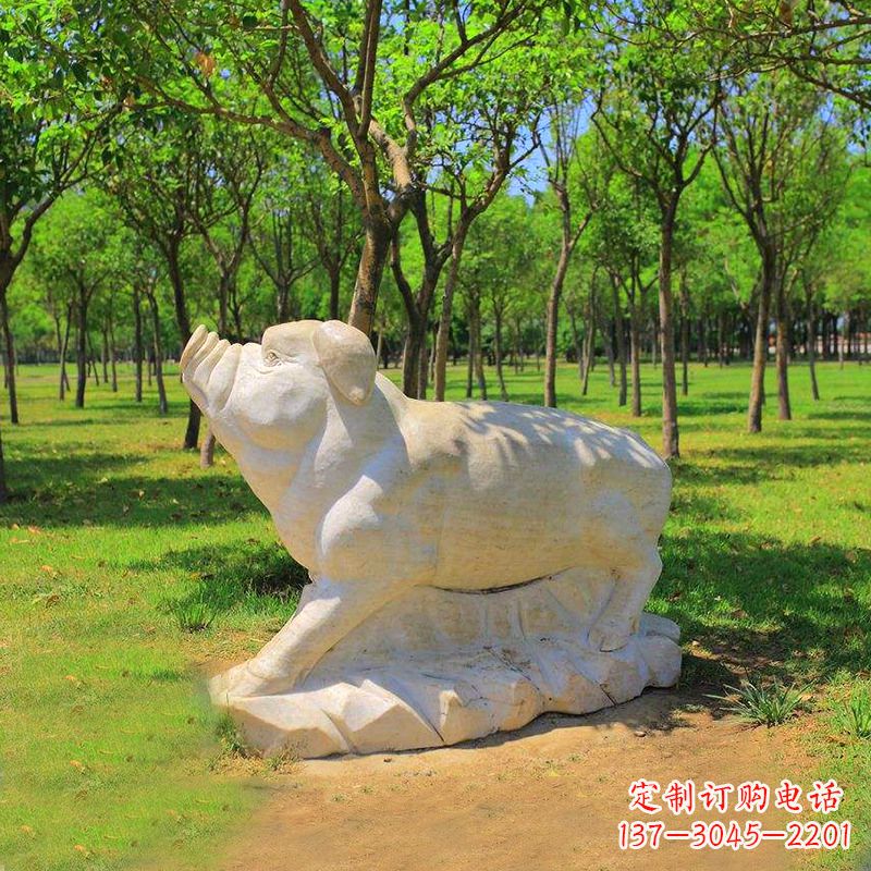汉白玉猪石雕-公园十二生肖动物雕塑摆件