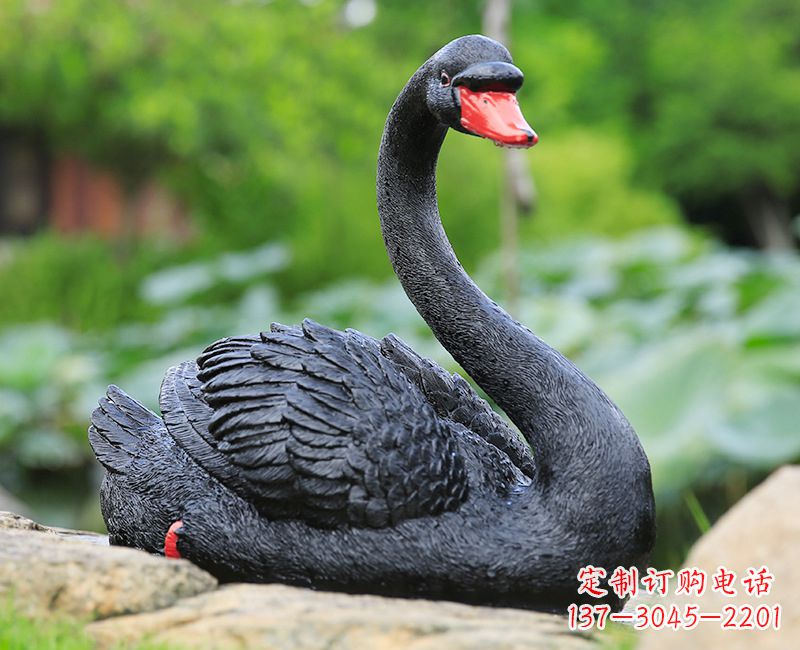 黑色天鹅卧姿雕塑-园林水景动物摆件