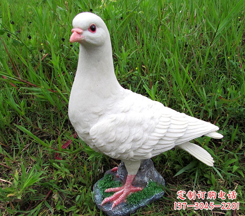 角斗士广场鸽子雕塑