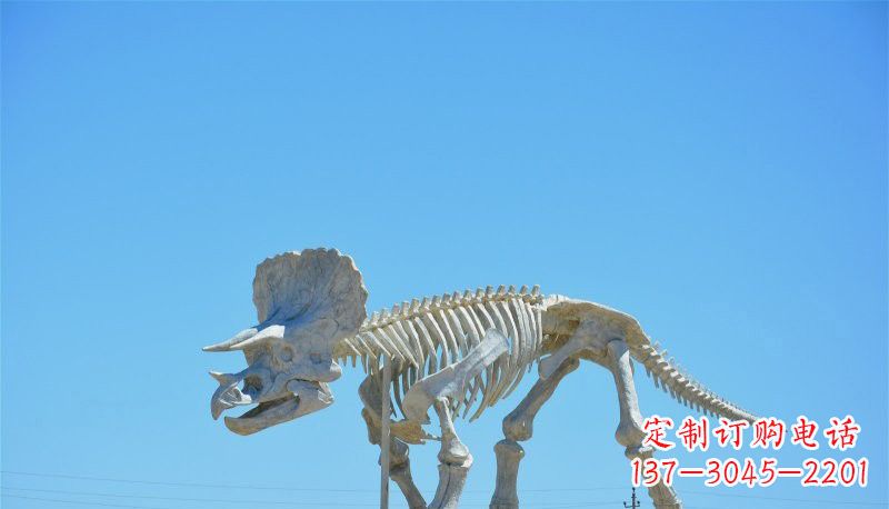 景区玻璃钢恐龙化石