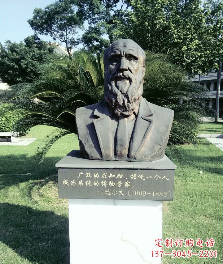 科学家达尔文胸像铜雕