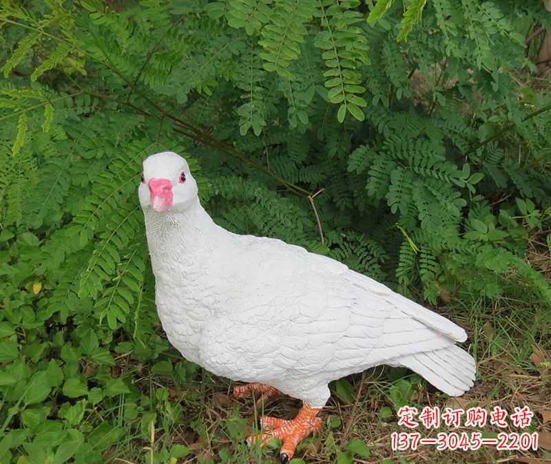 灵鸽雕塑鸽子呢