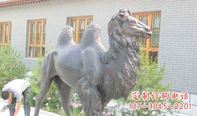 骆驼公园动物铜雕 (2)