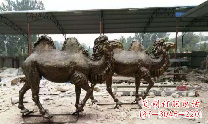骆驼动物铜雕 (4)