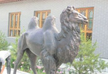 骆驼公园动物铜雕 (2)