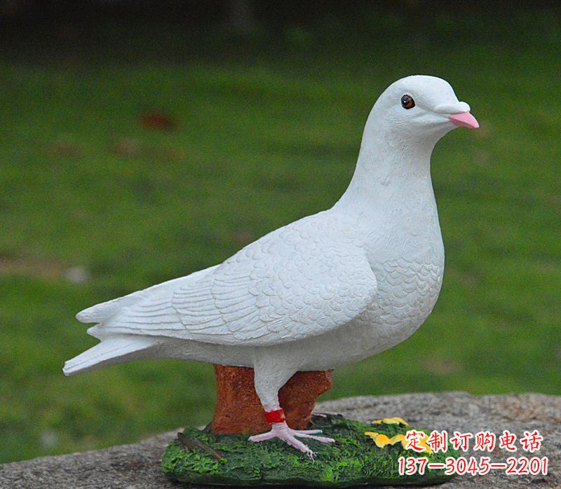 少女与和平鸽雕塑图片