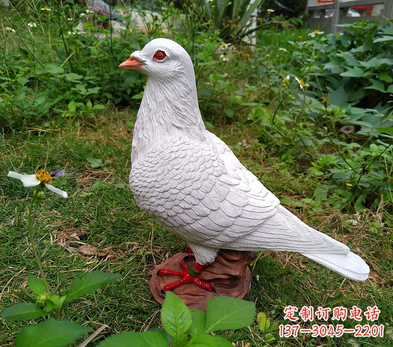 少女与和平鸽雕塑图片大全