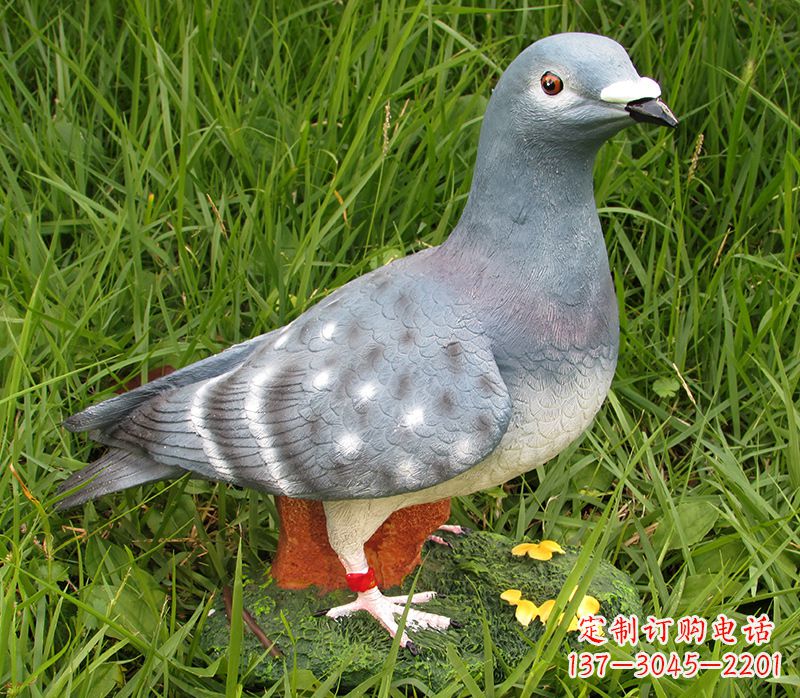 石雕鸽子