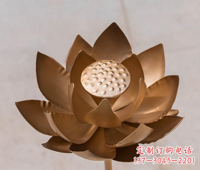铜雕景观荷花 铜雕景观荷花