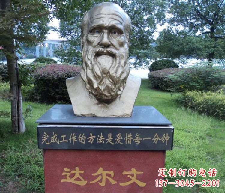 铜雕校园达尔文肖像雕塑