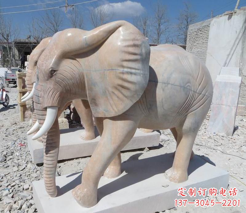 晚霞红卷鼻大象