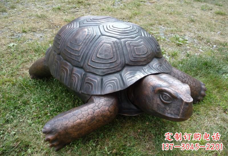 乌龟铜雕222